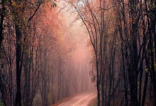 世界杯合法购彩 -小鹏取得障碍物属性确定方法专利