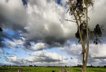 开阳106所学校(xiào)食堂從(cóng)“人(rén)盯人(rén)”到“云守卫” AI“慧眼”守护校(xiào)园餐