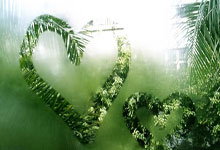 开阳106所学校(xiào)食堂從(cóng)“人(rén)盯人(rén)”到“云守卫” AI“慧眼”守护校(xiào)园餐